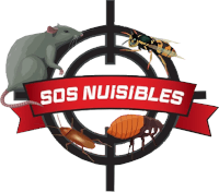 sos-nuisibles-loire